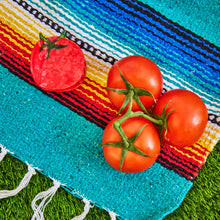 Load image into Gallery viewer, Midi Tomato Hair Claw Clip