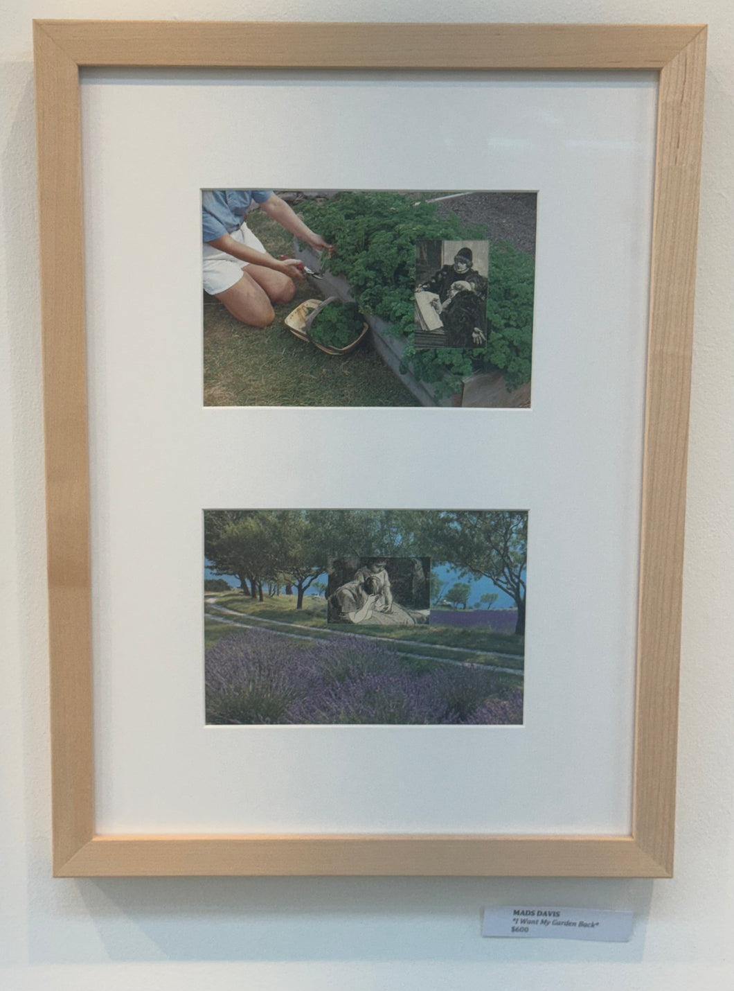 I WANT MY GARDEN BACK by MADS DAVIS